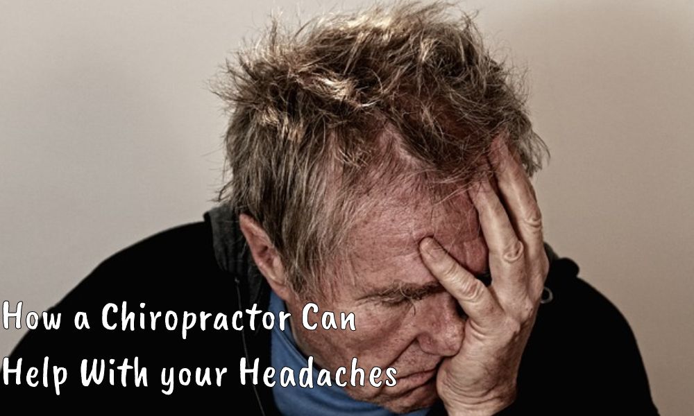 chiropractor rochester ny