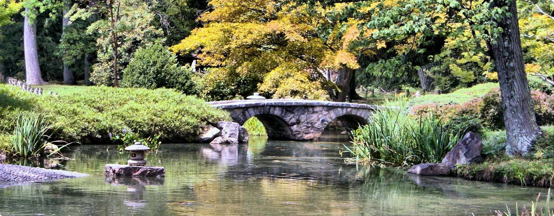 Oriental Medicine Chinese Herbology Rochester NY